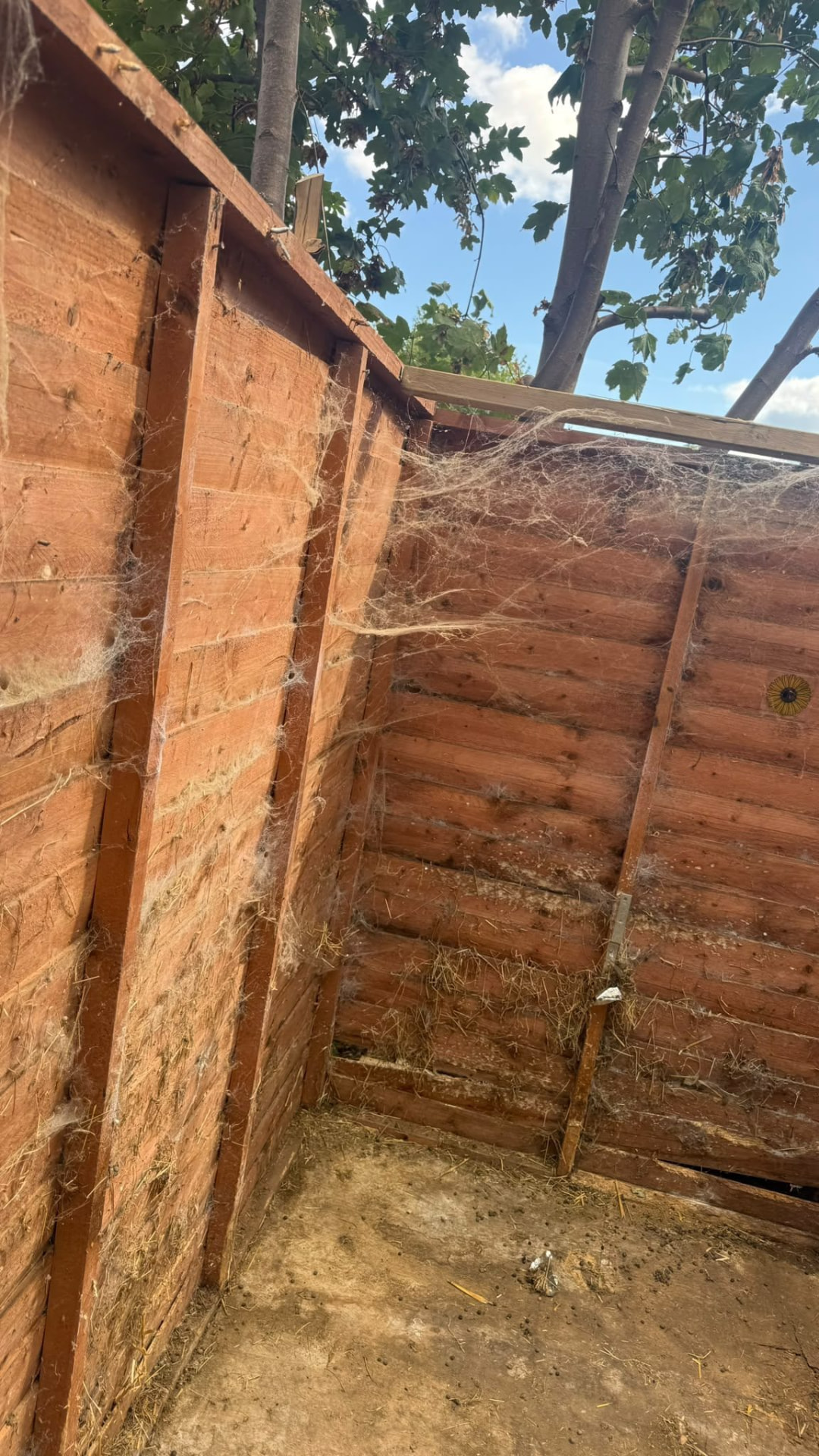 Worn timber shed interior during shed demolition in Wimborne, Dorset