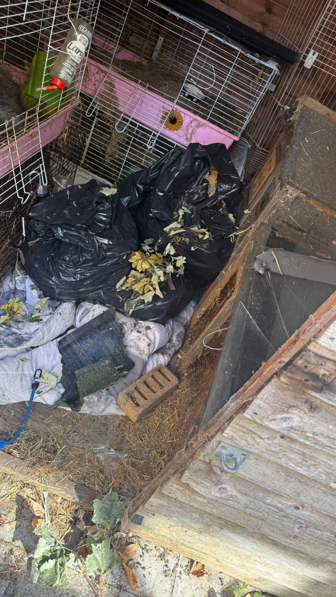 Cluttered animal pen with bags and bedding awaiting waste removal in Wimborne, Dorset