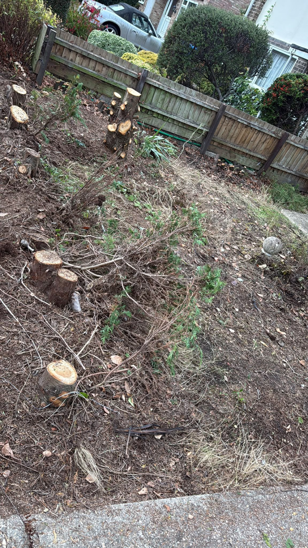 Garden cut right back after a garden clearance in Wimborne, Dorset