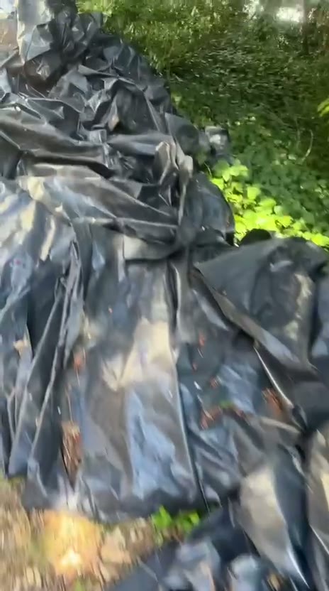 Bagged garden waste ready to be taken away