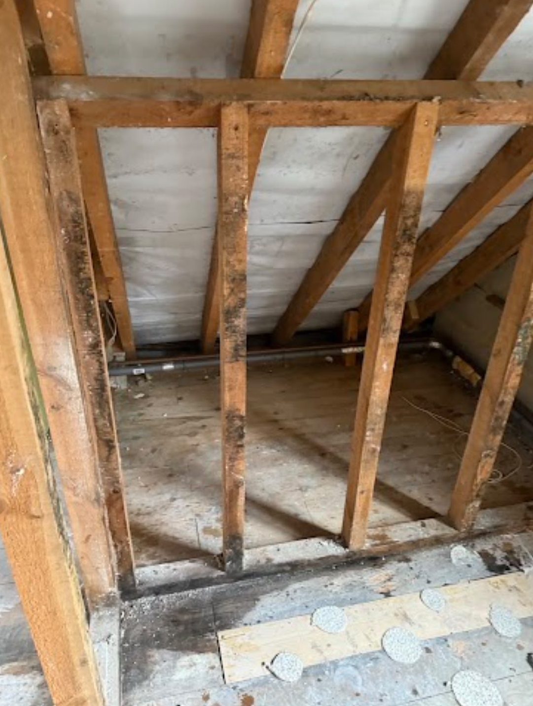 Roof space stripped to bare rafters after internal demolition in Wimborne, Dorset