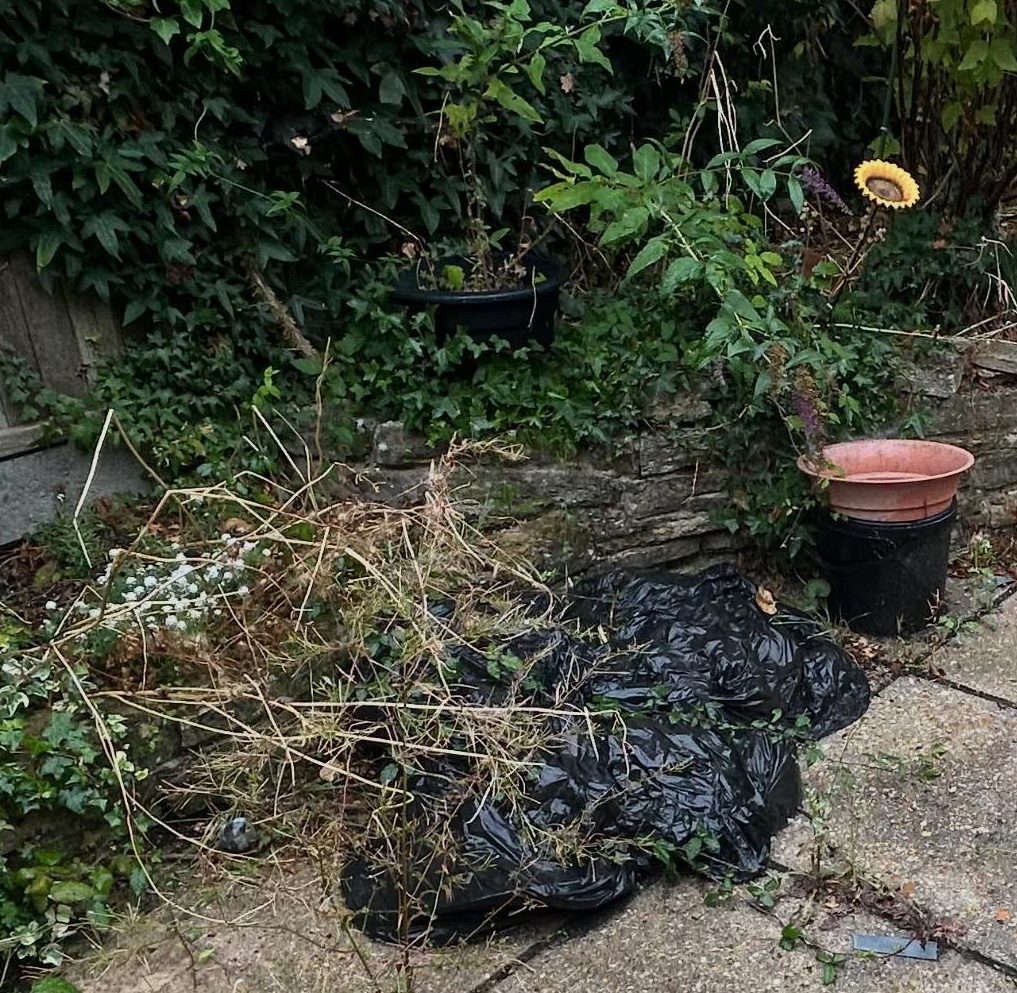 Overgrown garden bed with weeds and garden waste bags before clearance in Wimborne, Dorset